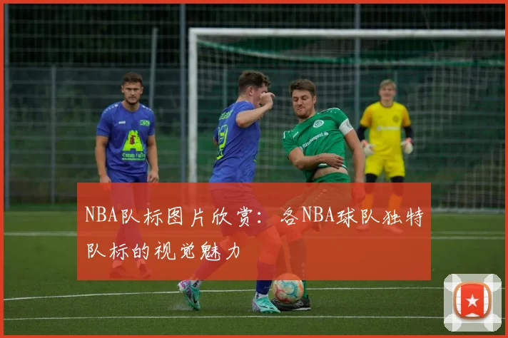 NBA队标图片欣赏：各NBA球队独特队标的视觉魅力