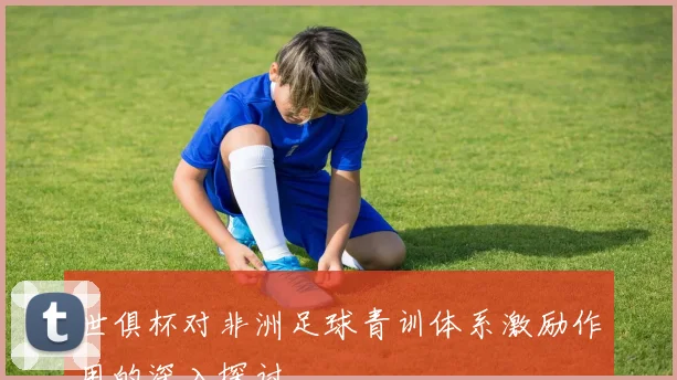 世俱杯对非洲足球青训体系激励作用的深入探讨